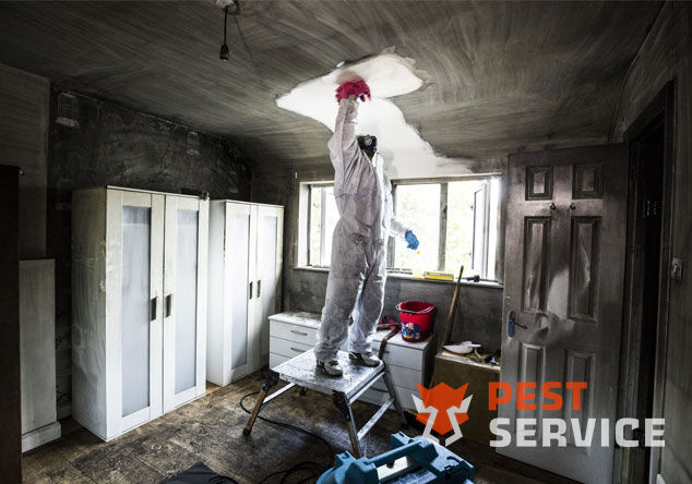 Профессиональная уборка помещений после пожара в Благовещенск от 2500 руб: удаление сажи, копоти и запаха гари, глубокая очистка поверхностей и восстановление чистоты. Быстро, безопасно и эффективно.